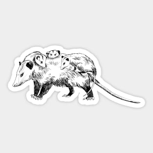 opossum Sticker